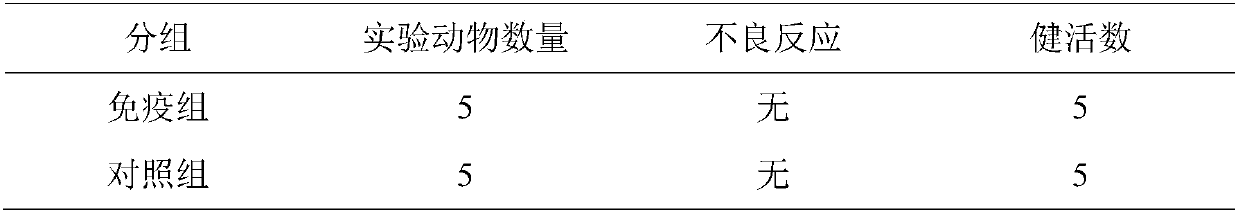 Method for preparing swine erysipelas and porcine parvovirus bivalent inactivated vaccine