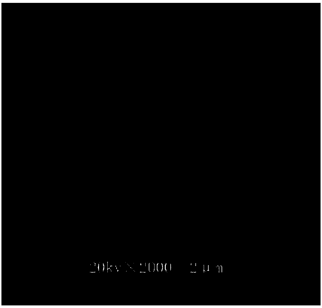 Cerium dioxide nanoparticle reinforced tin silver copper composite soldering paste and preparation method thereof