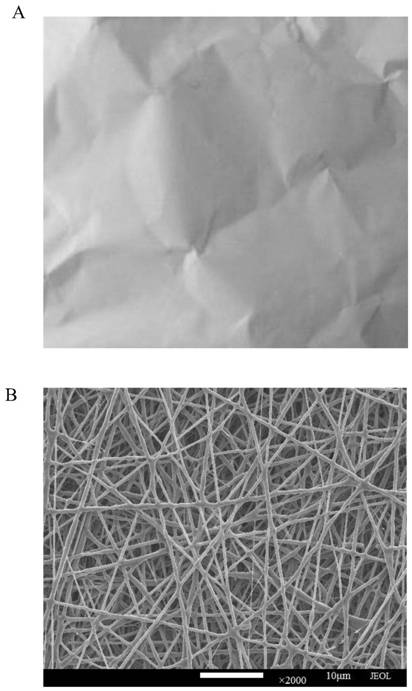 Preparation method of nerve conduit material based on polyhydroxyalkanoate/sodium alginate electrospun nanofibers