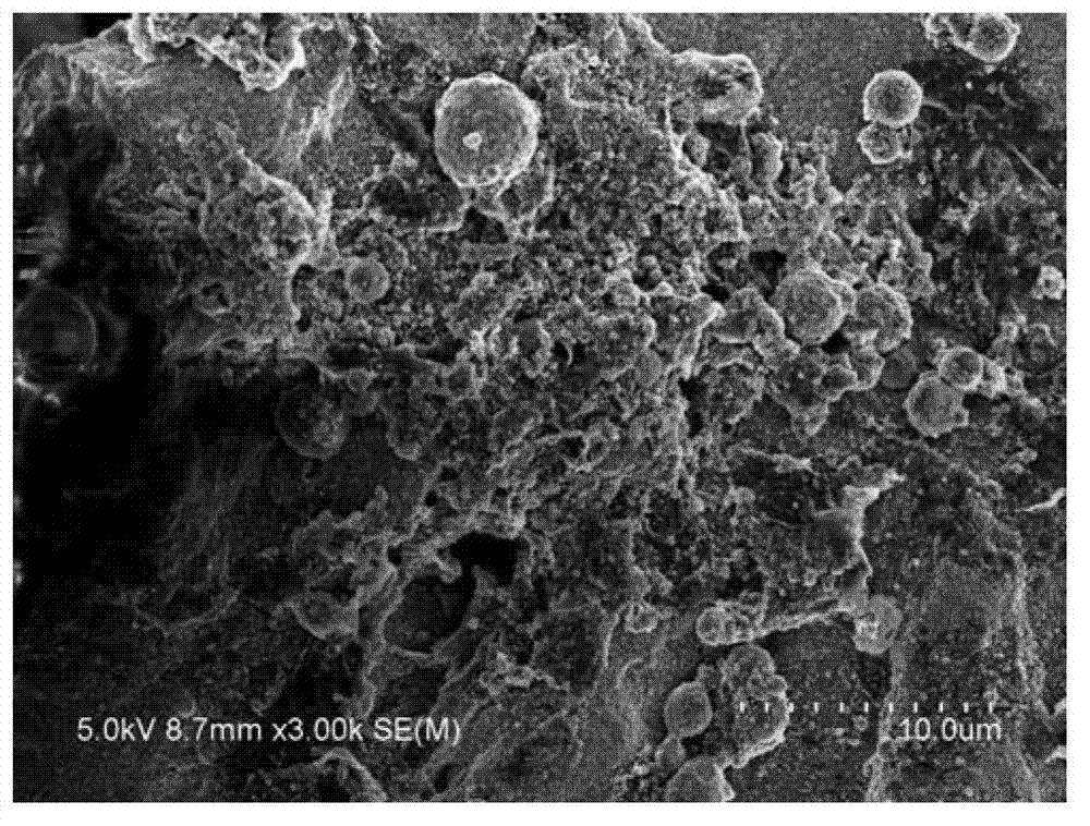 Two-pore zeolite microsphere and preparation method thereof