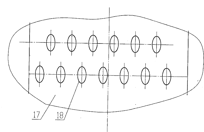 Vertical environment-friendly boiler for triple dedusting burning wood and biomass particle fuel in boiler