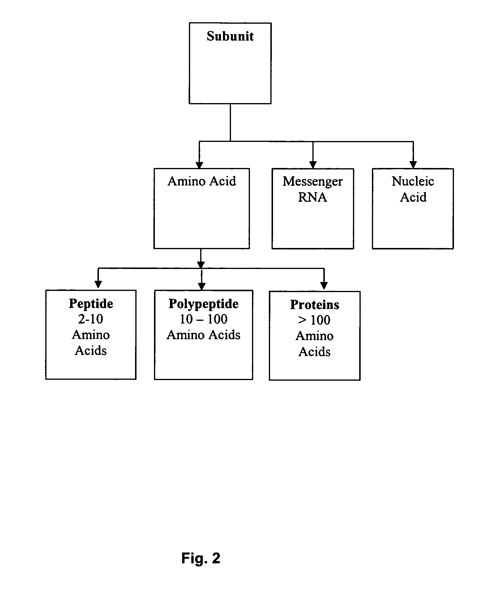 Immunogenic composition and method of developing a vaccine based on fusion protein