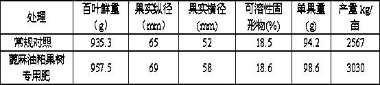 Special fruit tree fertilizer produced from castor oil meal and preparation process thereof