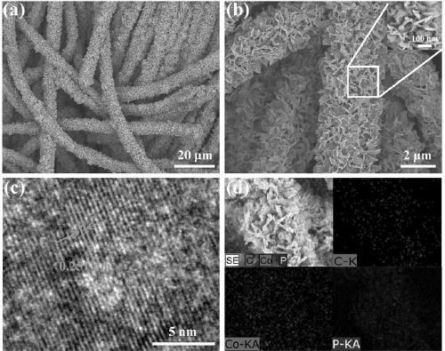 a flake co  <sub>2</sub> Synthesis method and application of p-carbon cloth composite material