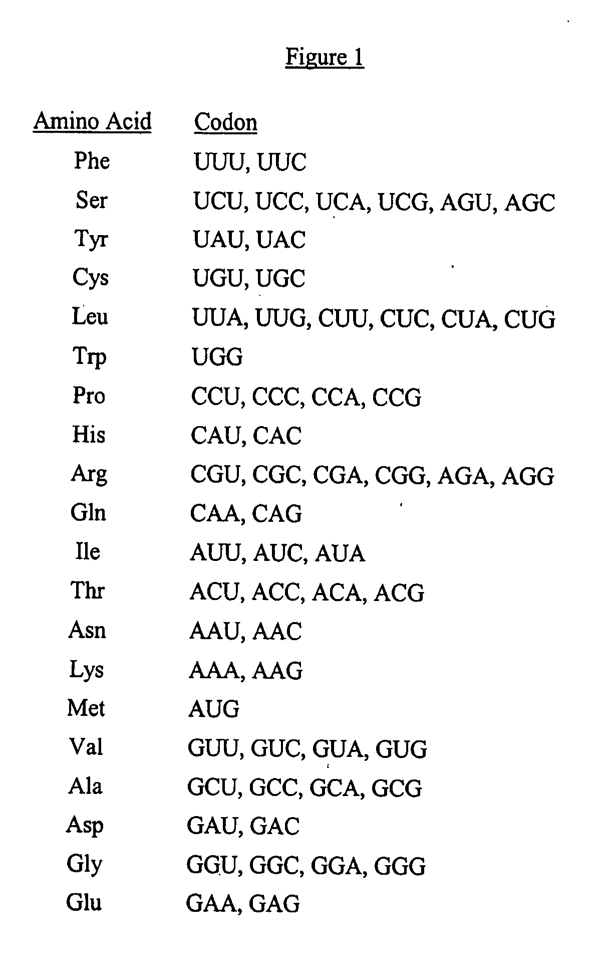 Synthetic nucleic acid molecule compositions and methods of preparation