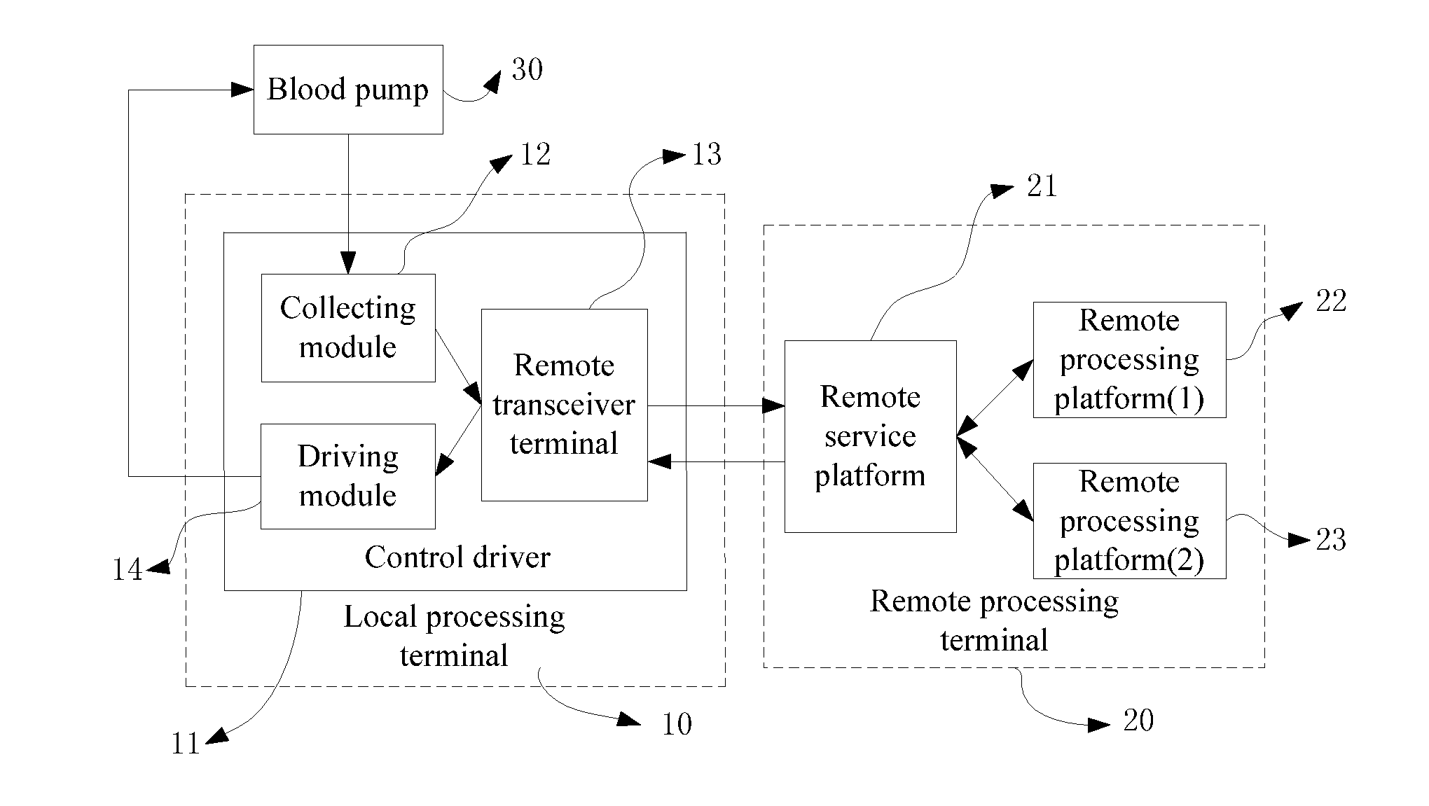 Blood pump control system and blood pump system