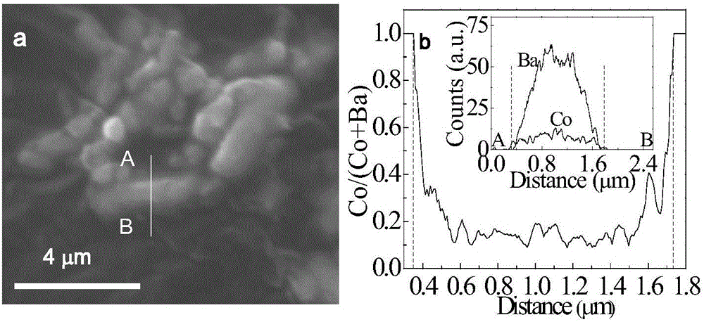 Co oxide/BaCO3 catalyst for N2O catalytic decomposition and preparation method thereof