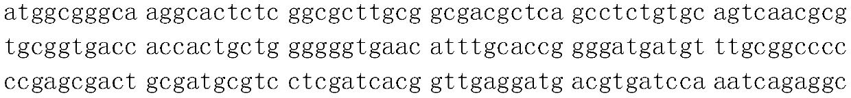 Gene of kelp mannuronic acid C5-isomerase and application of gene