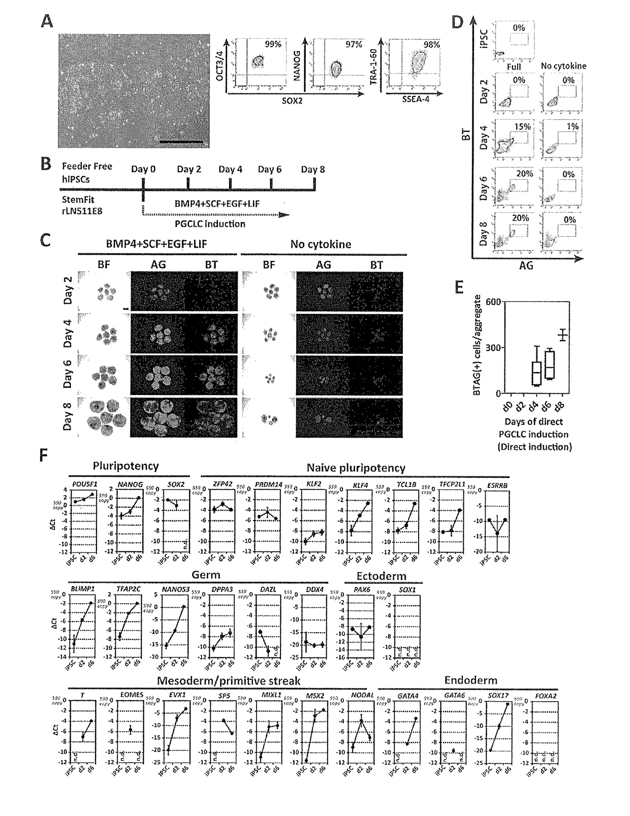 Method for inducing differentiation of pluripotent stem cells into germ cells