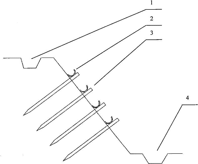 Novel ecological side slope greening protective technology