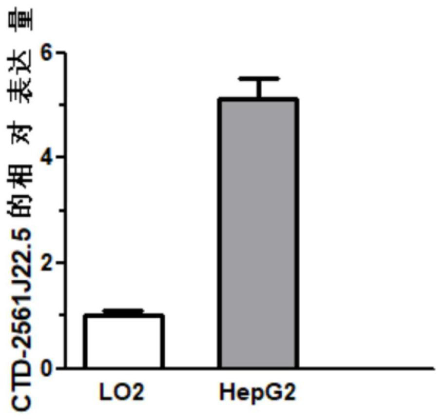 Reagents for detecting and targeting lncRNA biomarkers and their application in hepatocellular carcinoma