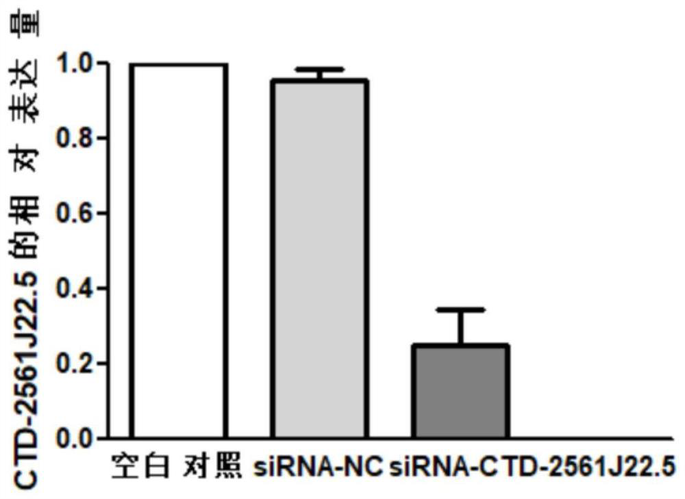 Reagents for detecting and targeting lncRNA biomarkers and their application in hepatocellular carcinoma