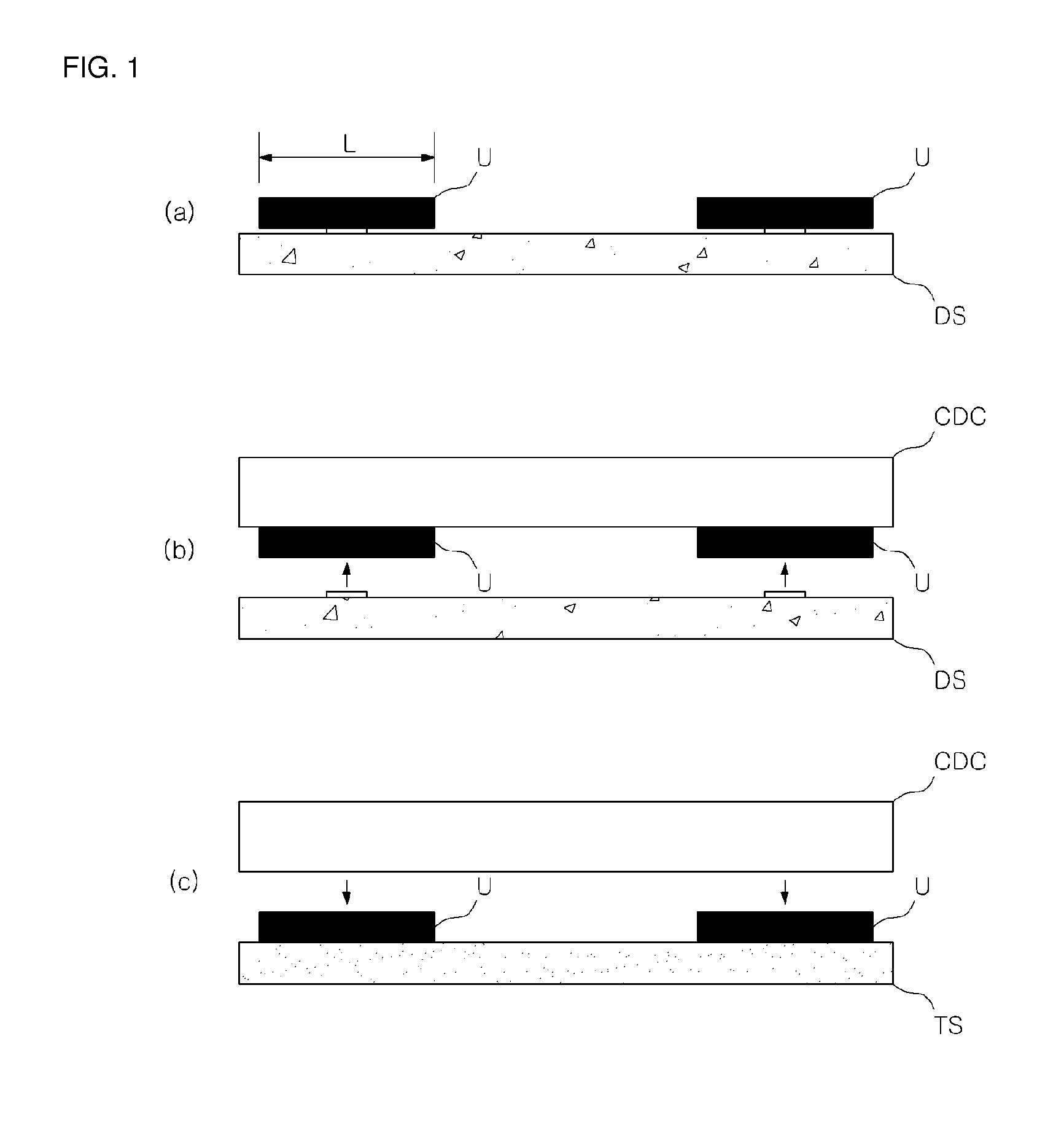 Apparatus for manufacturing a hierarchical structure