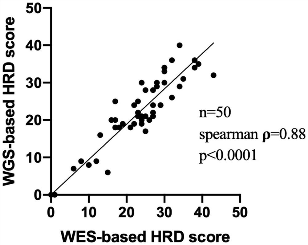 Method and device for correcting homologous recombination repair defect score