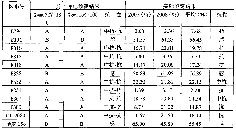 Molecular marker tightly linked with wheat yellow mosaic resistant major quantitative trait locus (QTL) and application thereof