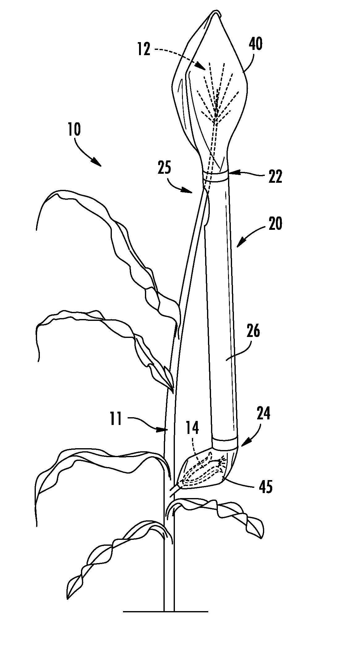 Apparatus and method for delivering pollen for directed pollination of plants