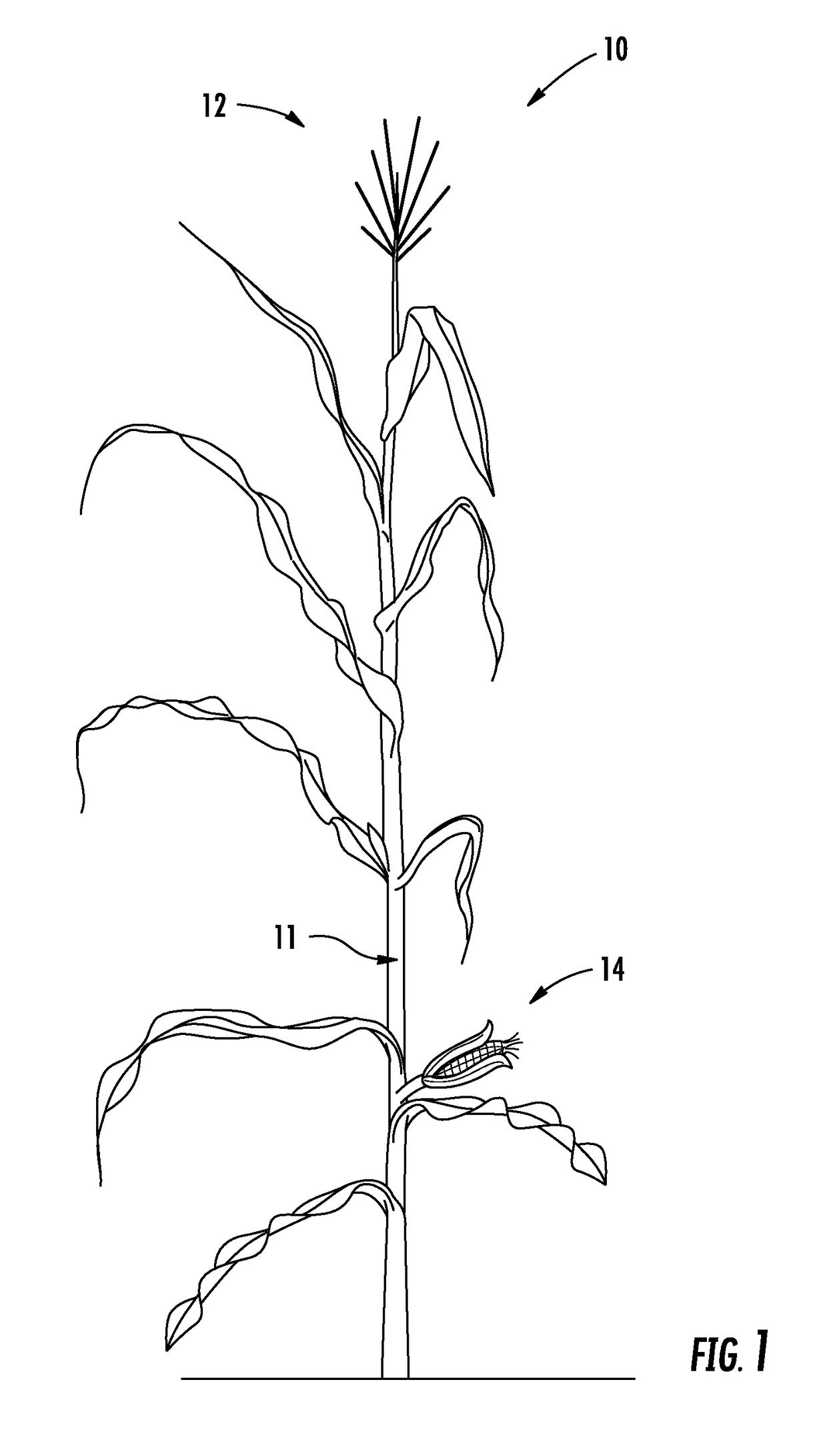 Apparatus and method for delivering pollen for directed pollination of plants