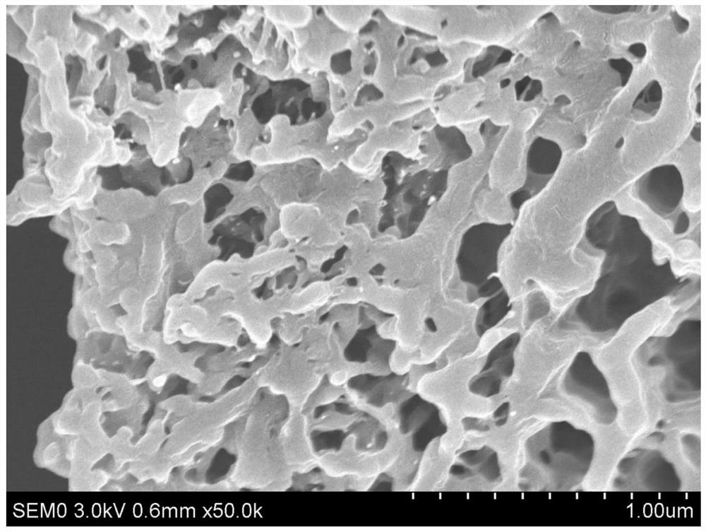 Preparation method of asymmetric hollow fiber membrane