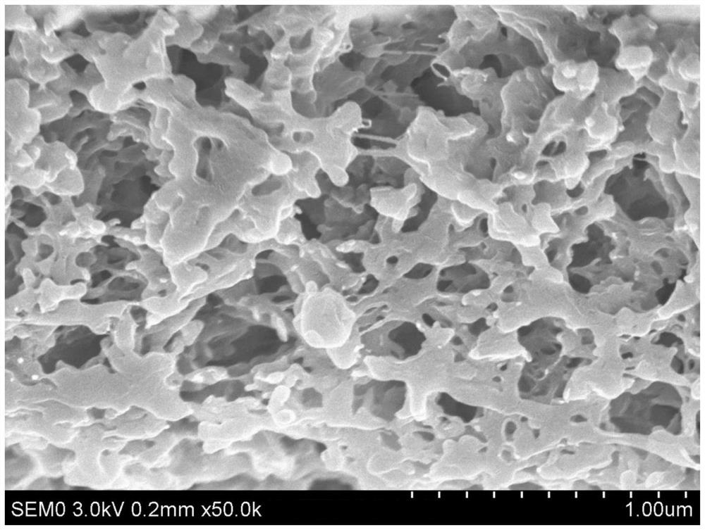 Preparation method of asymmetric hollow fiber membrane