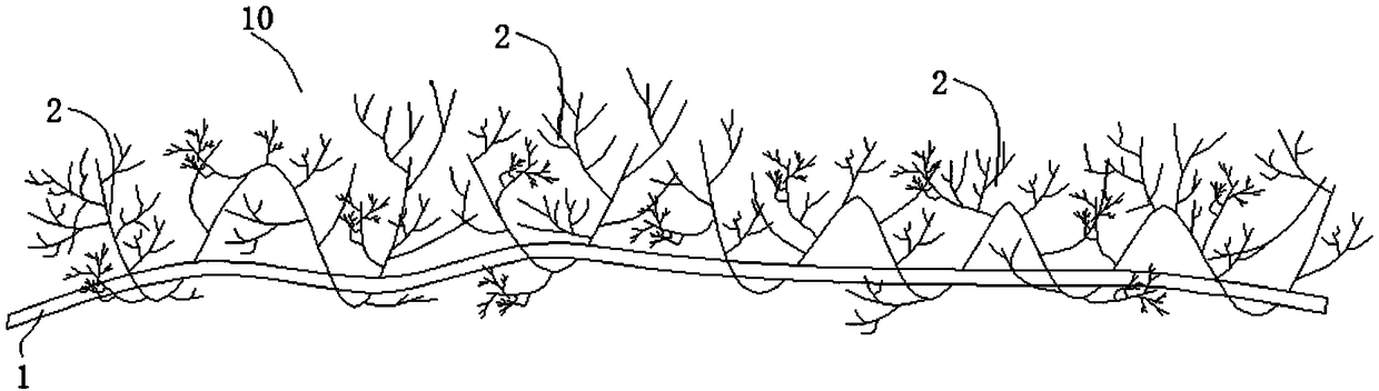 Novel fabric and novel leather product in which collagen fiber bundle forms network structure