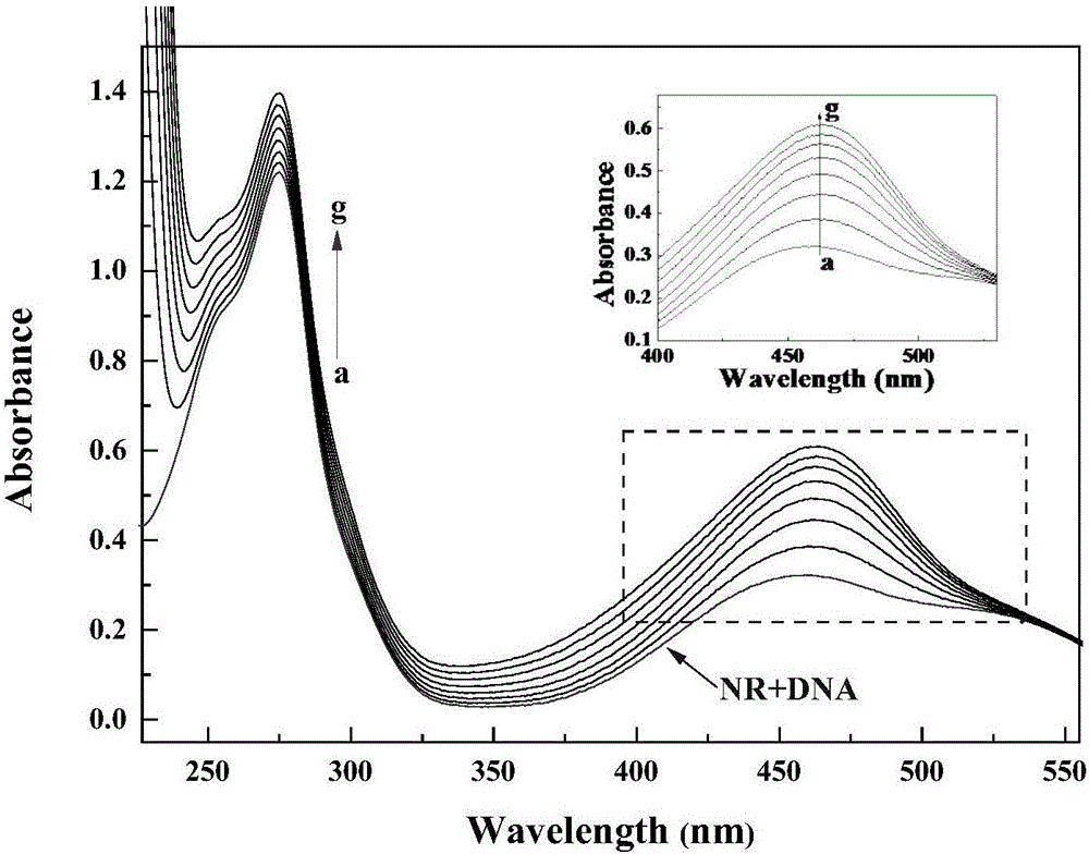 Ketene-bridged berberine azole derivatives and preparation method and application thereof