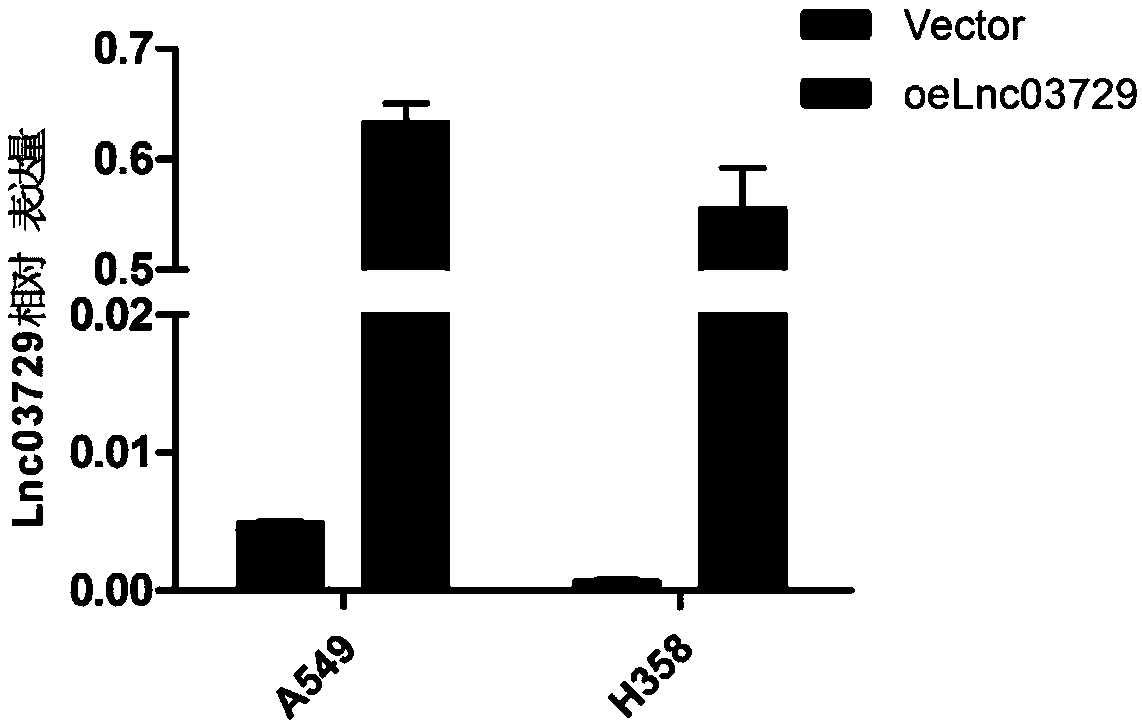 Application of Lnc03729 gene as biomarker in lung adenocarcinoma pre-diagnosis reagent