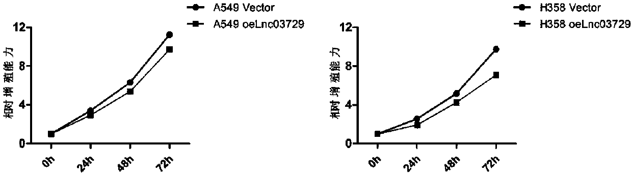 Application of Lnc03729 gene as biomarker in lung adenocarcinoma pre-diagnosis reagent