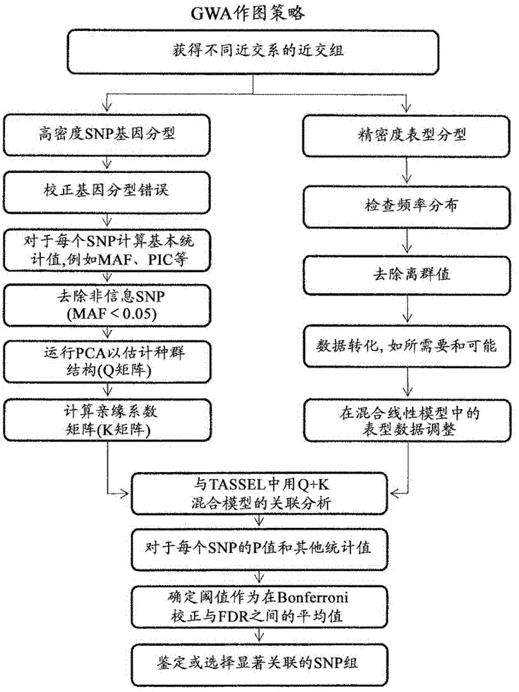 Method for selecting statistically validated candidate genes