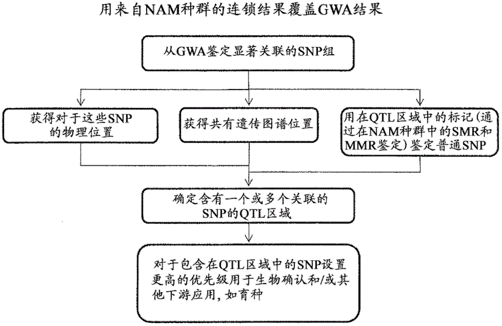 Method for selecting statistically validated candidate genes