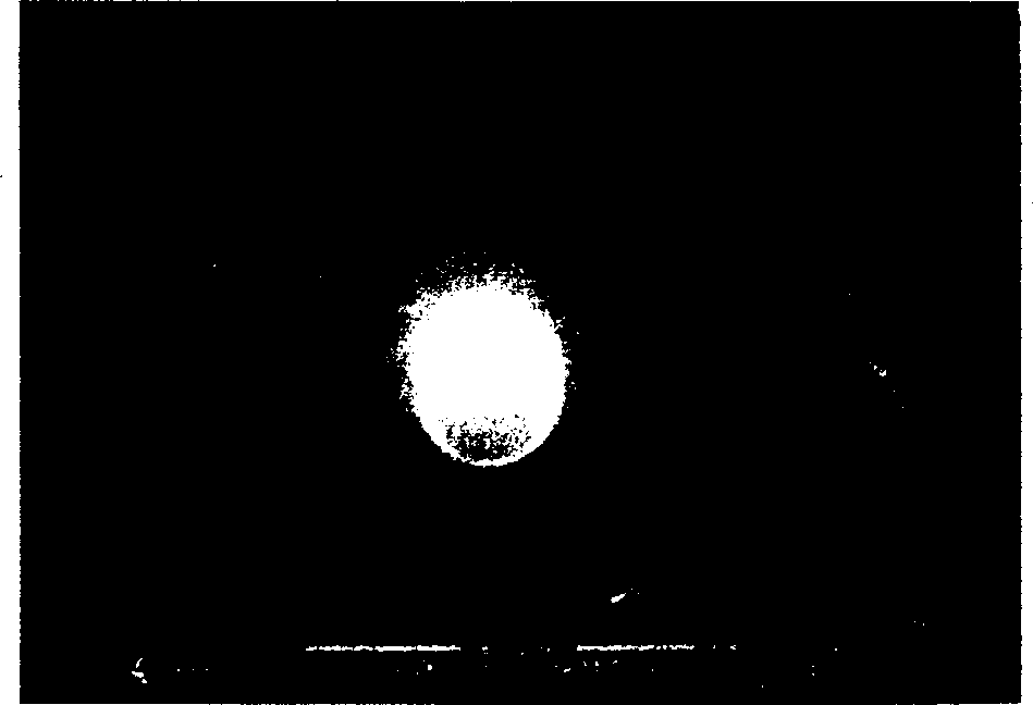 Slow-releasing bFGF-PLGA microball and its prepn and use