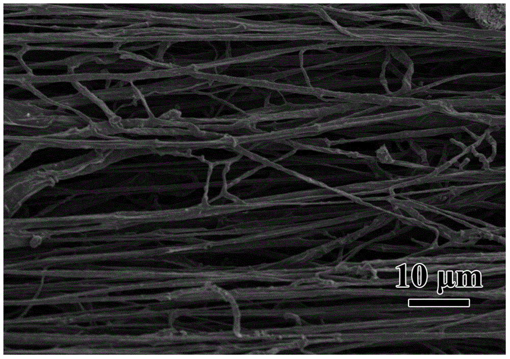 Method using hypha as template for preparation of graphene tube with controllable aperture