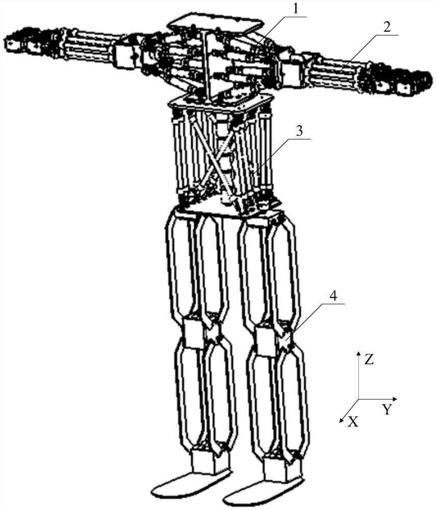 A Humanoid Robot System Based on Cylinder and Pneumatic Muscle