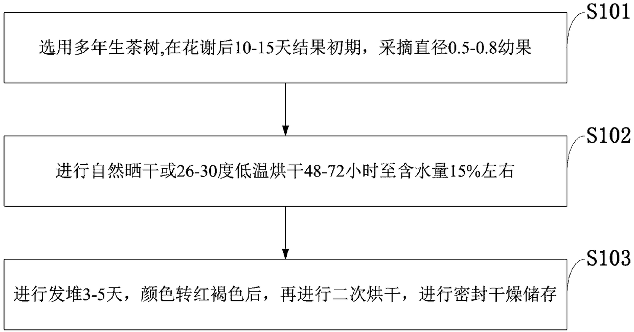 Method for preparing tea seed tea by using young tea fruits