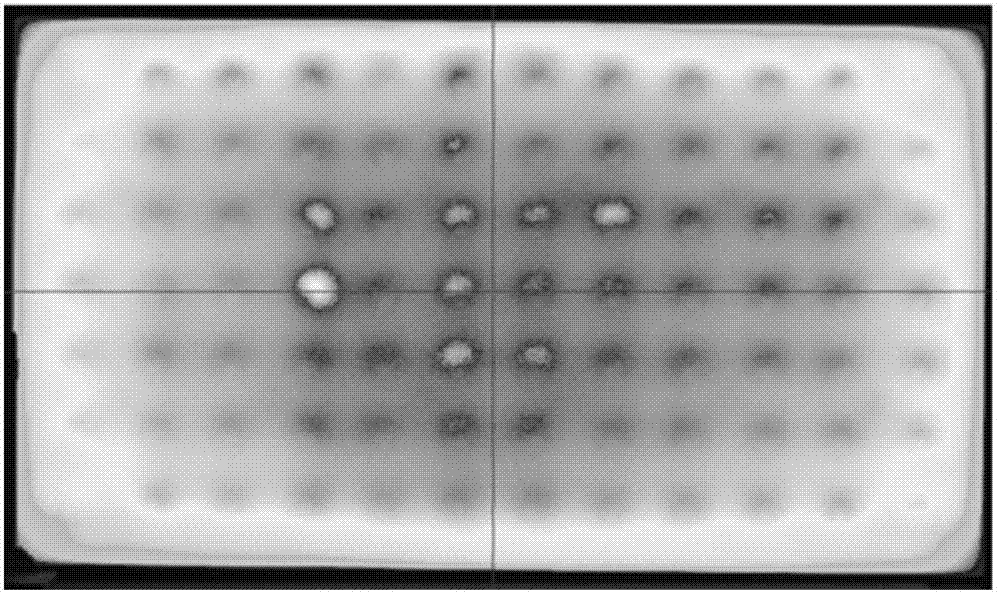 Diffusion plate and direct type backlight module