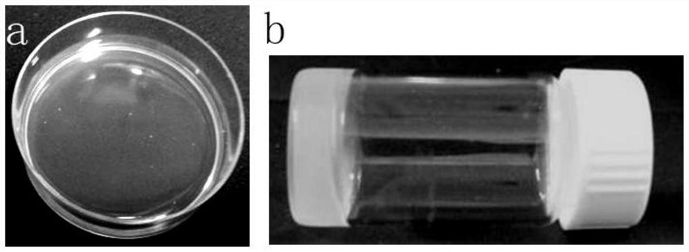 3D bioprinting ink and its preparation method and application