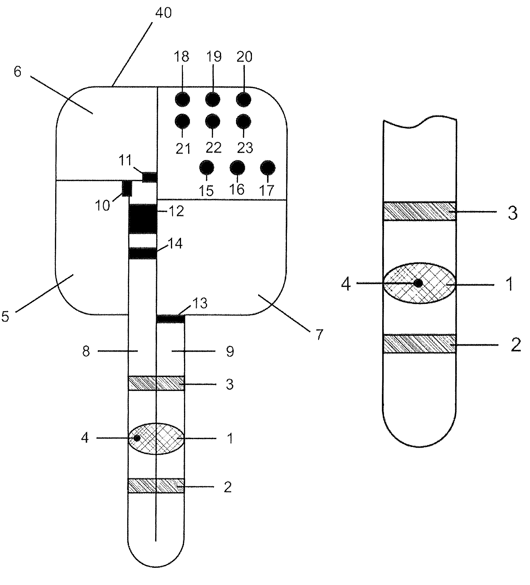 Implantable biosensor with automatic calibration