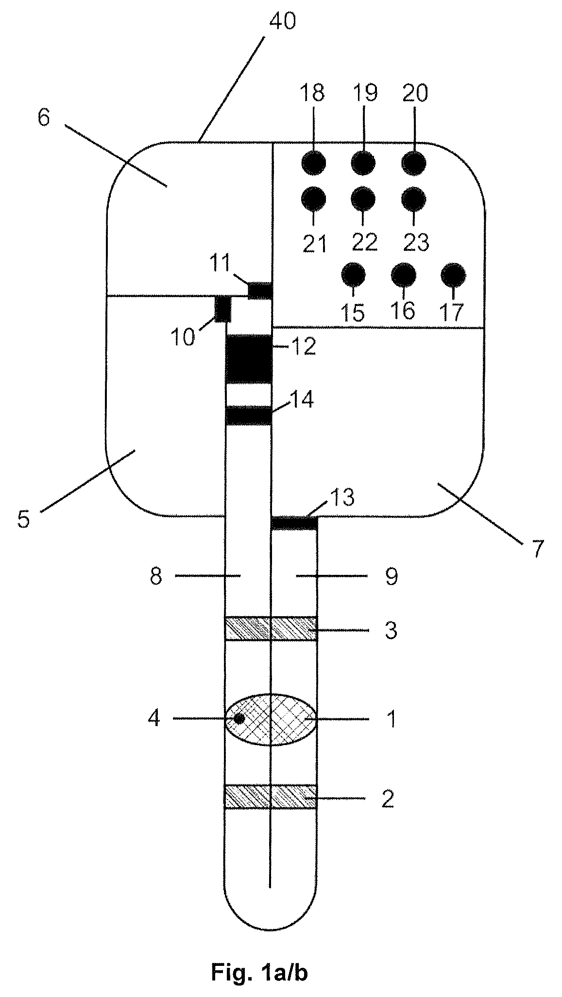 Implantable biosensor with automatic calibration