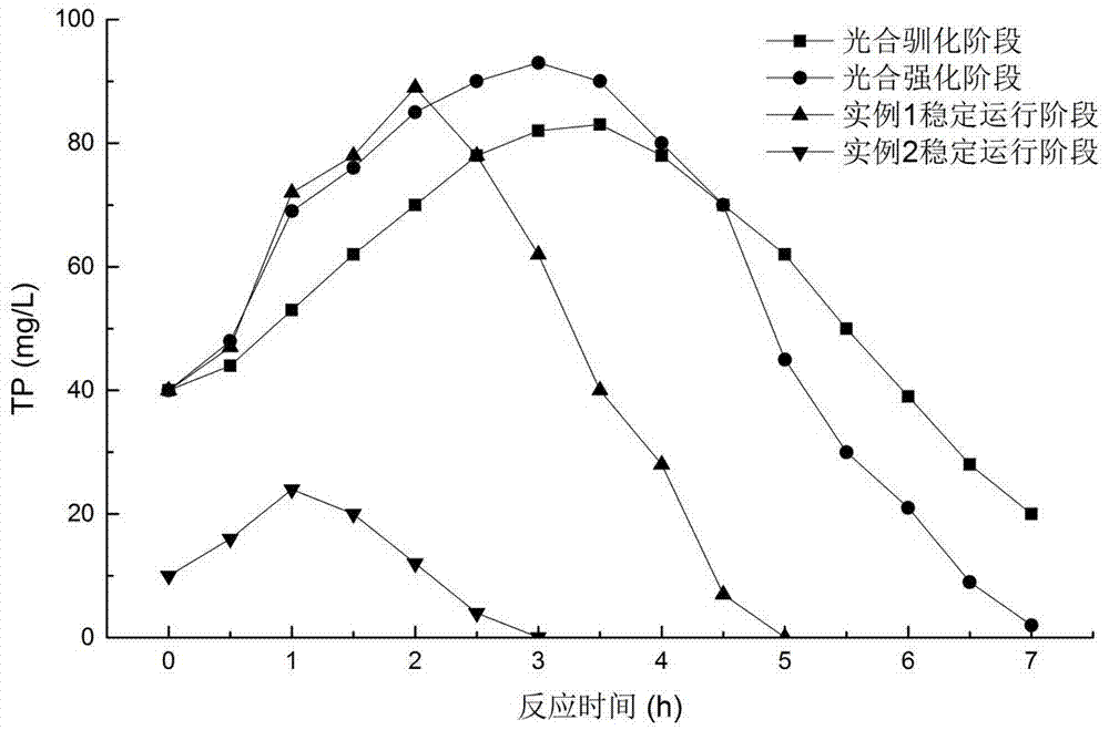 Enhanced biological phosphorus removal method