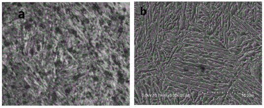 Method for preparing wear-resistant coating of ball mill lining plate