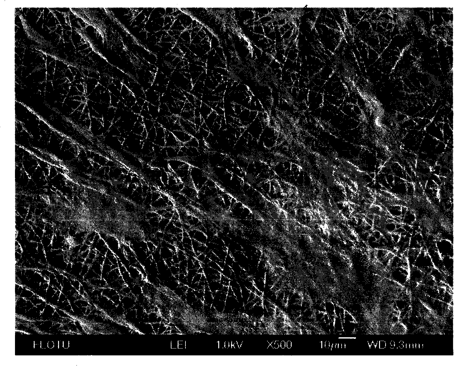 Method for preparing blending electrospun fiber membrane by adopting membrane protein contained in avian egg shells