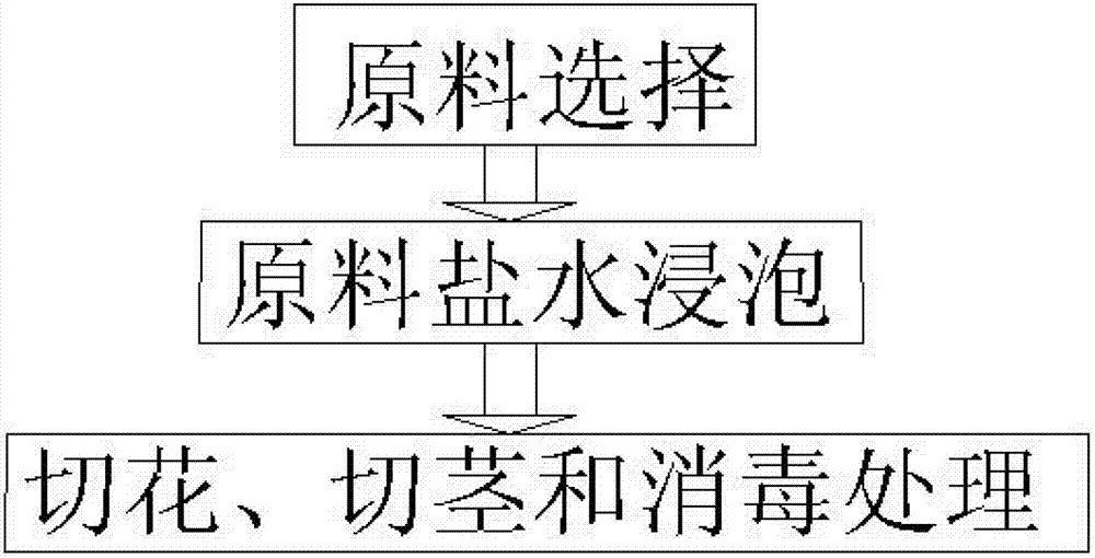 Spray-drying method of broccoli powder