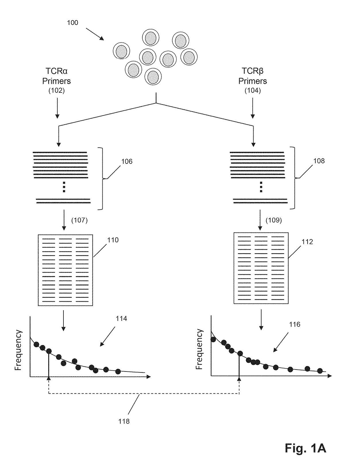 Determining antigen-specific t-cells