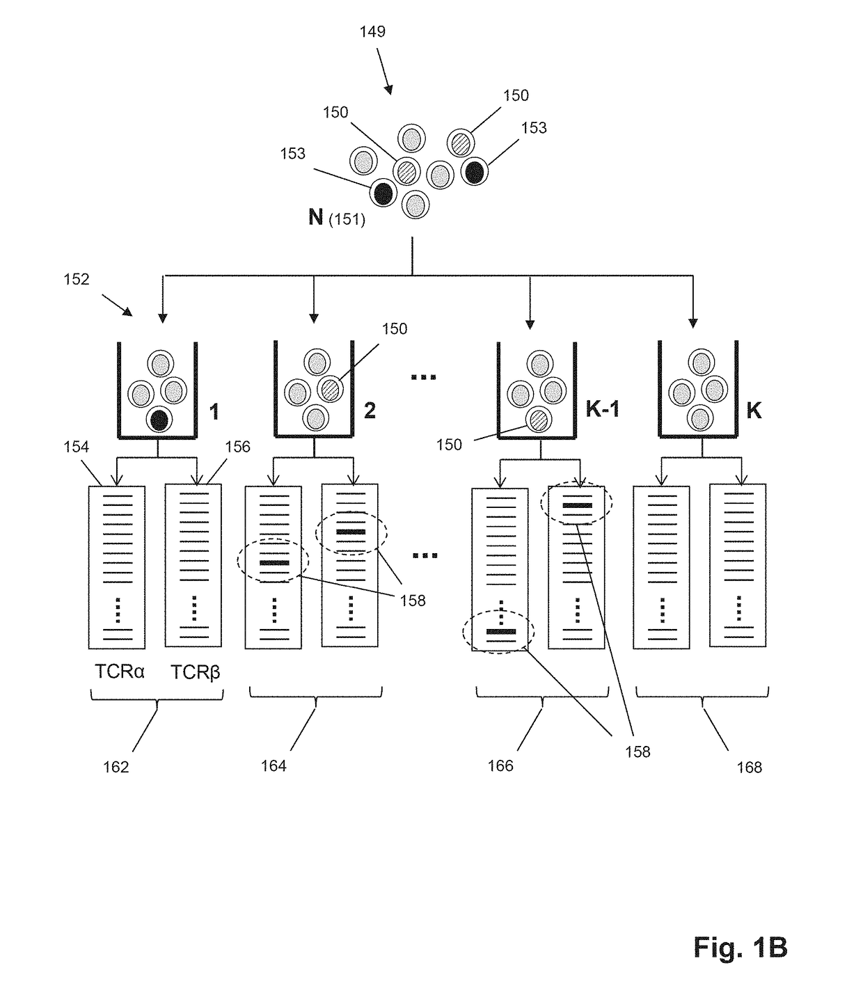 Determining antigen-specific t-cells