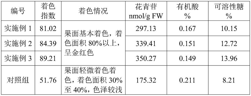 Inducing coloring agent for bagged peach fruits in rain sheltering facility and use method of inducing coloring agent