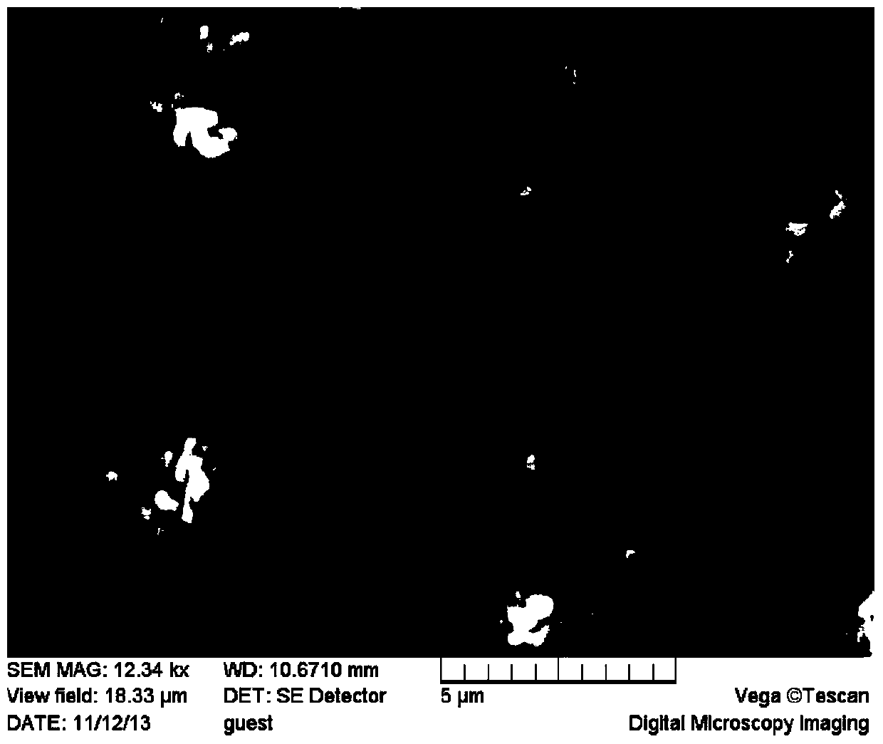 Pseudomonas stutzeri for efficiently processing nitrogen-containing sewage and application thereof