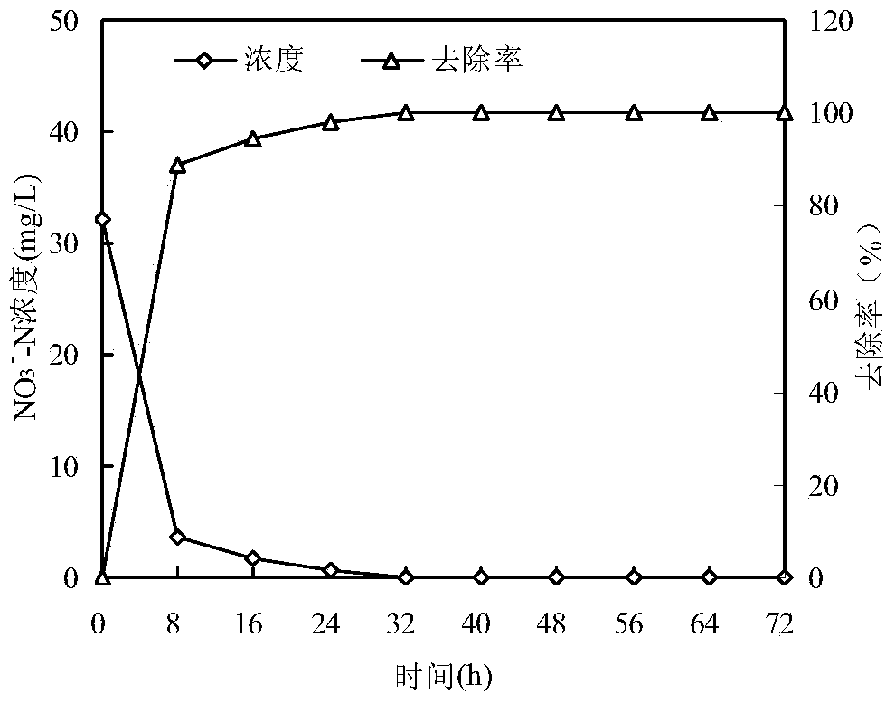 Pseudomonas stutzeri for efficiently processing nitrogen-containing sewage and application thereof