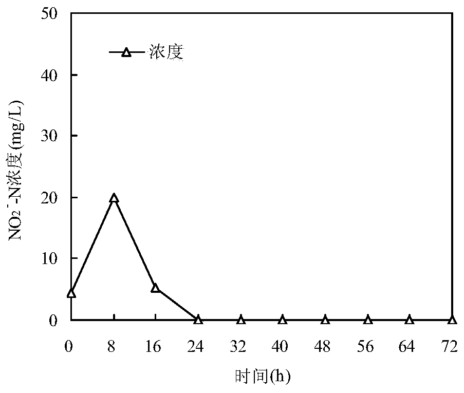 Pseudomonas stutzeri for efficiently processing nitrogen-containing sewage and application thereof