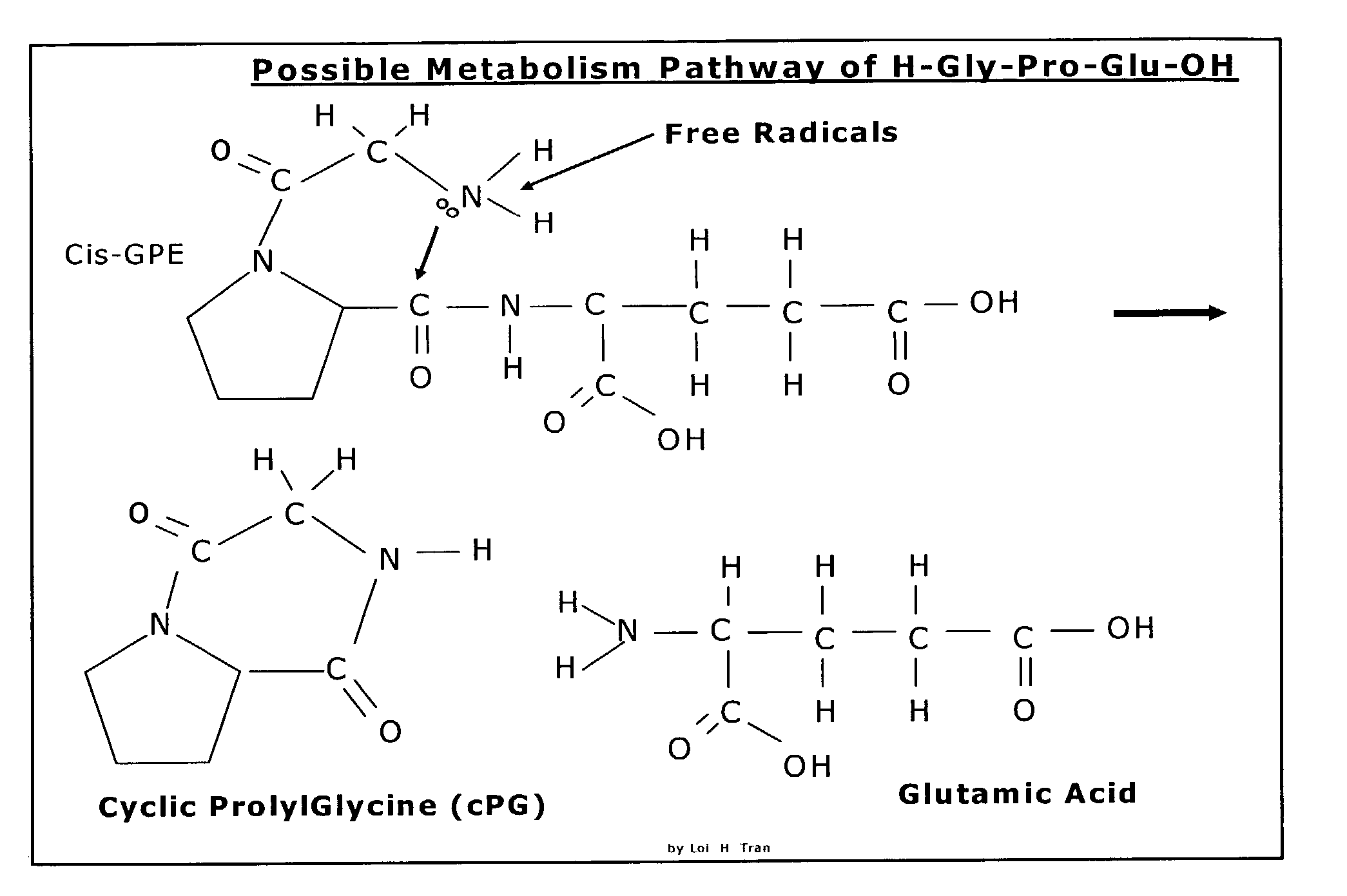 Neuroprotection and neuroegenisis by administering cyclic prolyl glycine