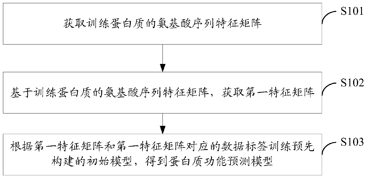 Protein function prediction model generation, protein function prediction method and device