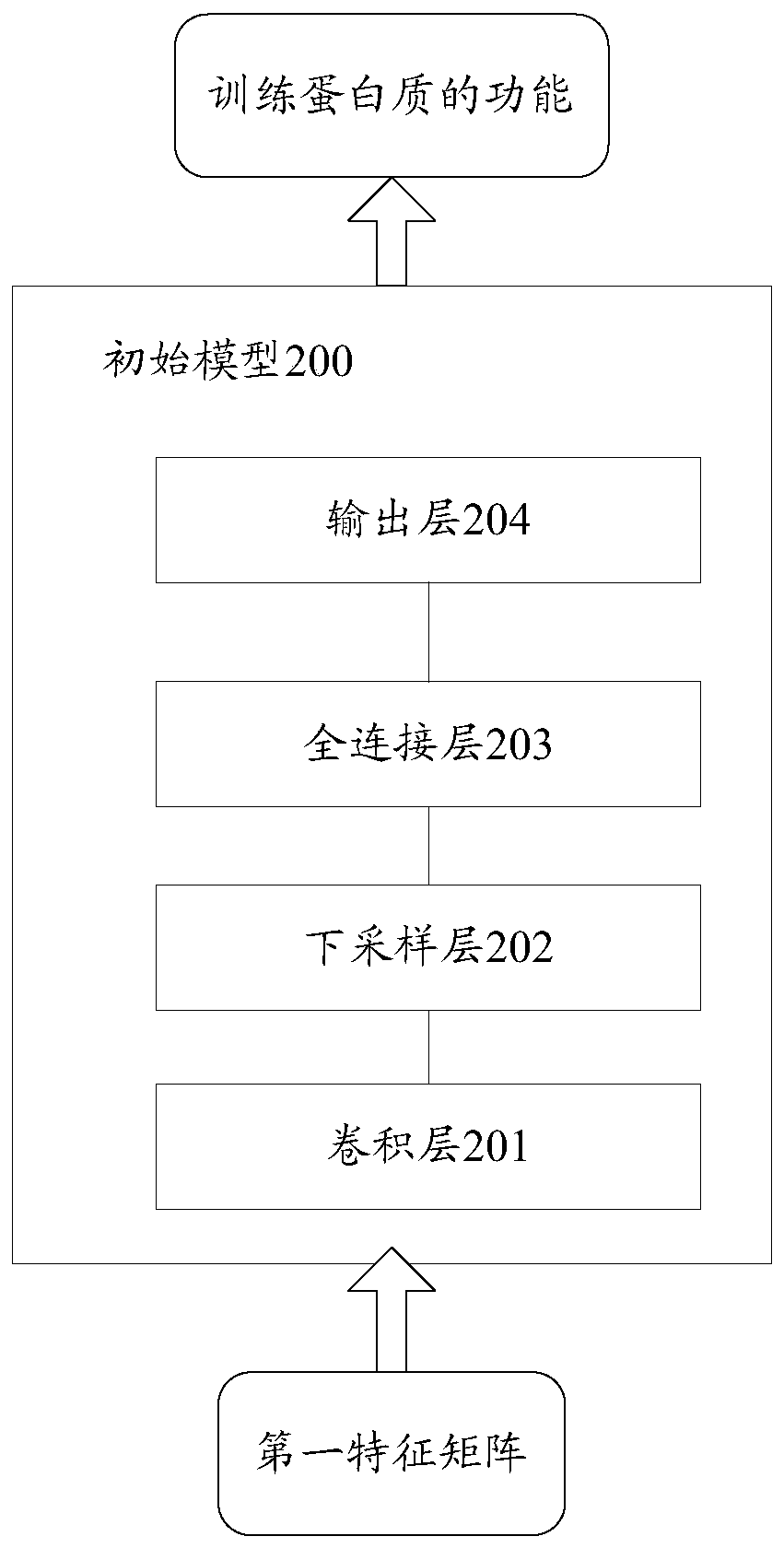 Protein function prediction model generation, protein function prediction method and device